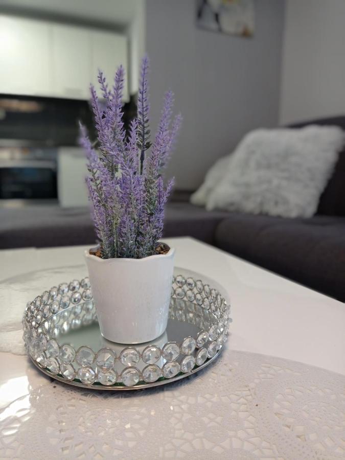 Petra Apartment Ðakovo Bagian luar foto